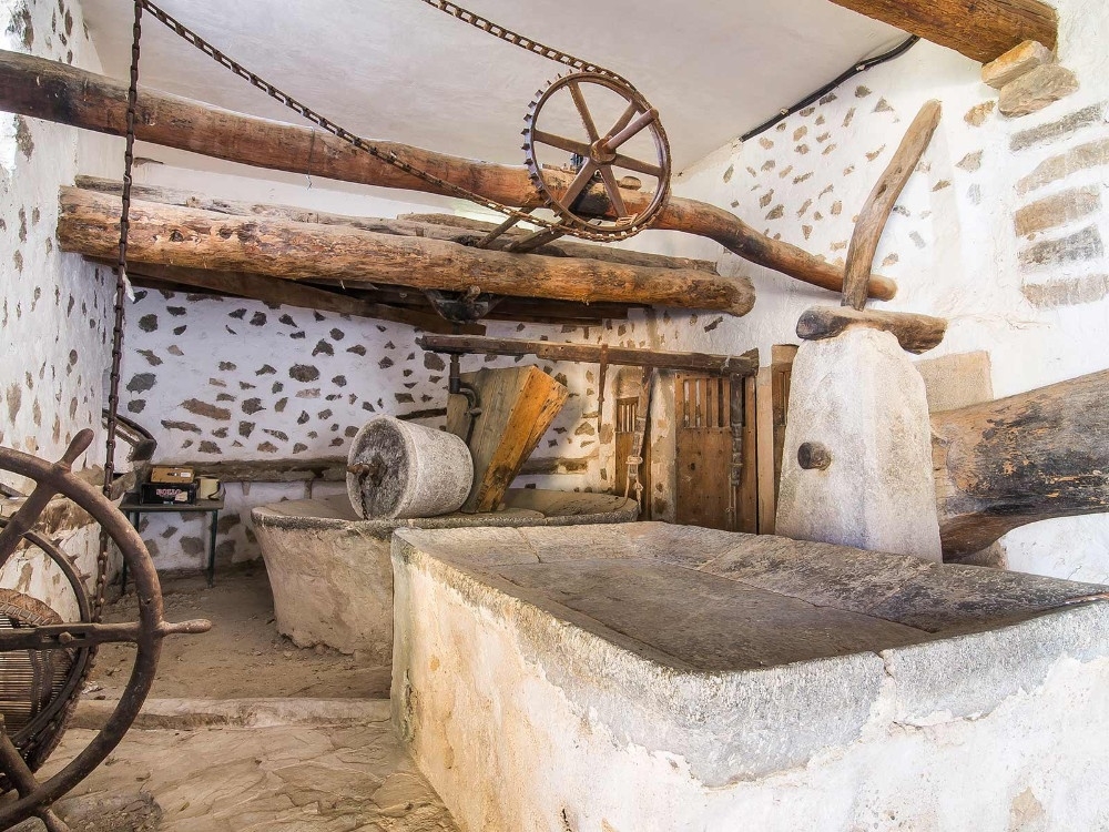 Olivenölpresse