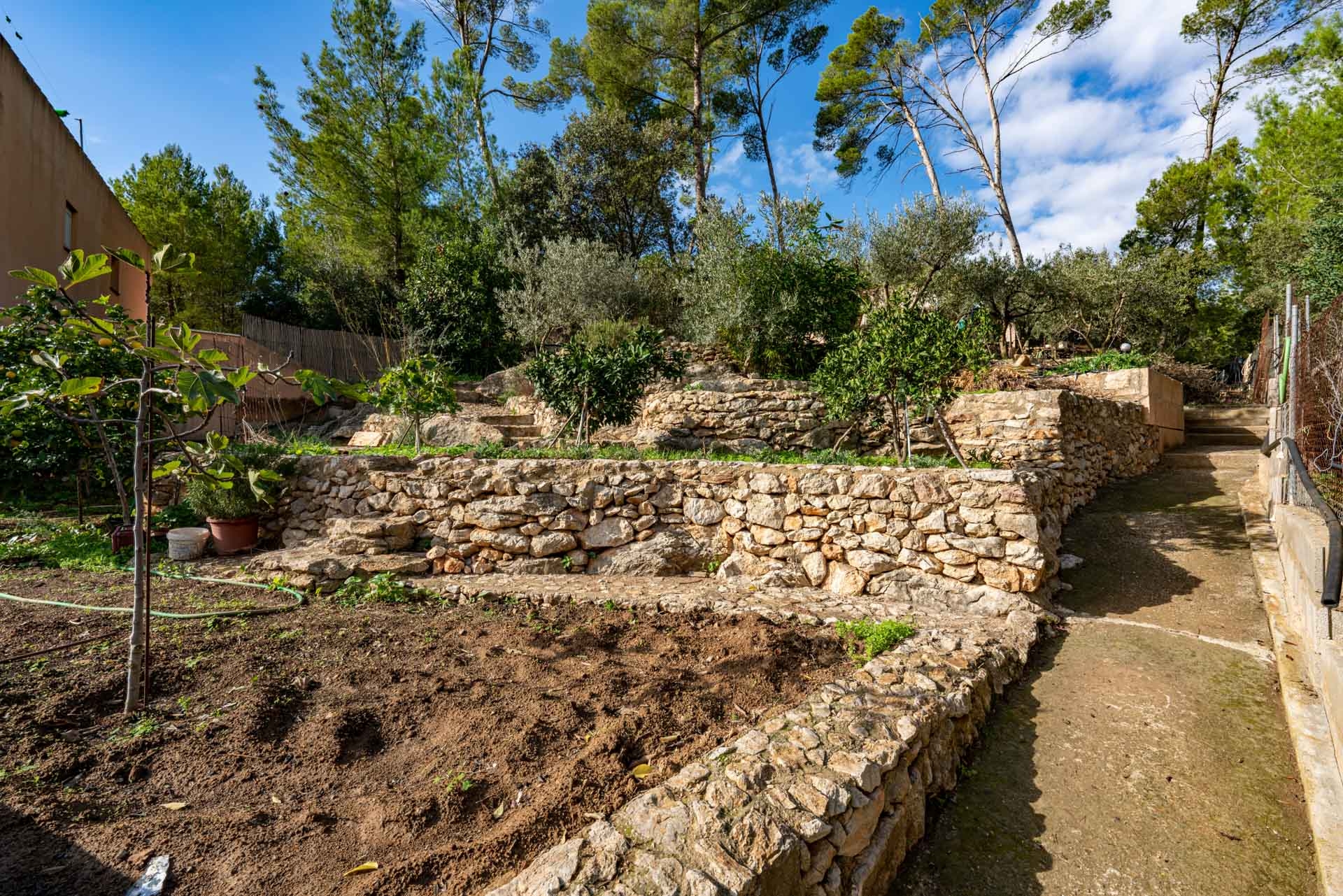 Terrassenförmig angelegter Garten