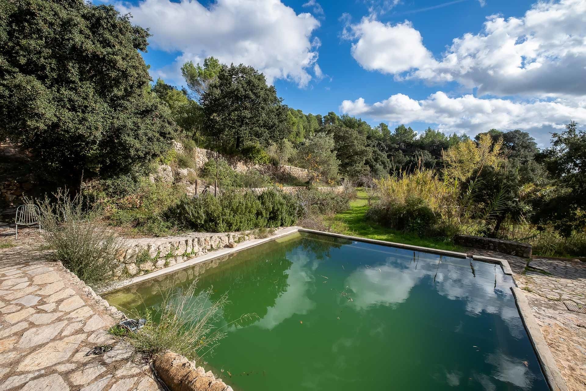 Naturpool "Safareig"