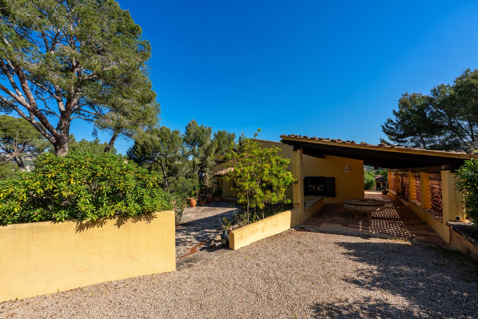 Finca