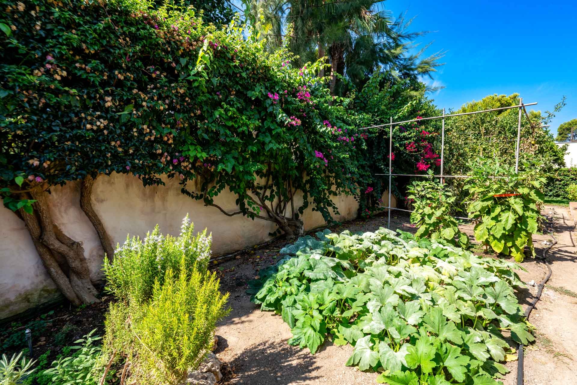 Gemüsegarten