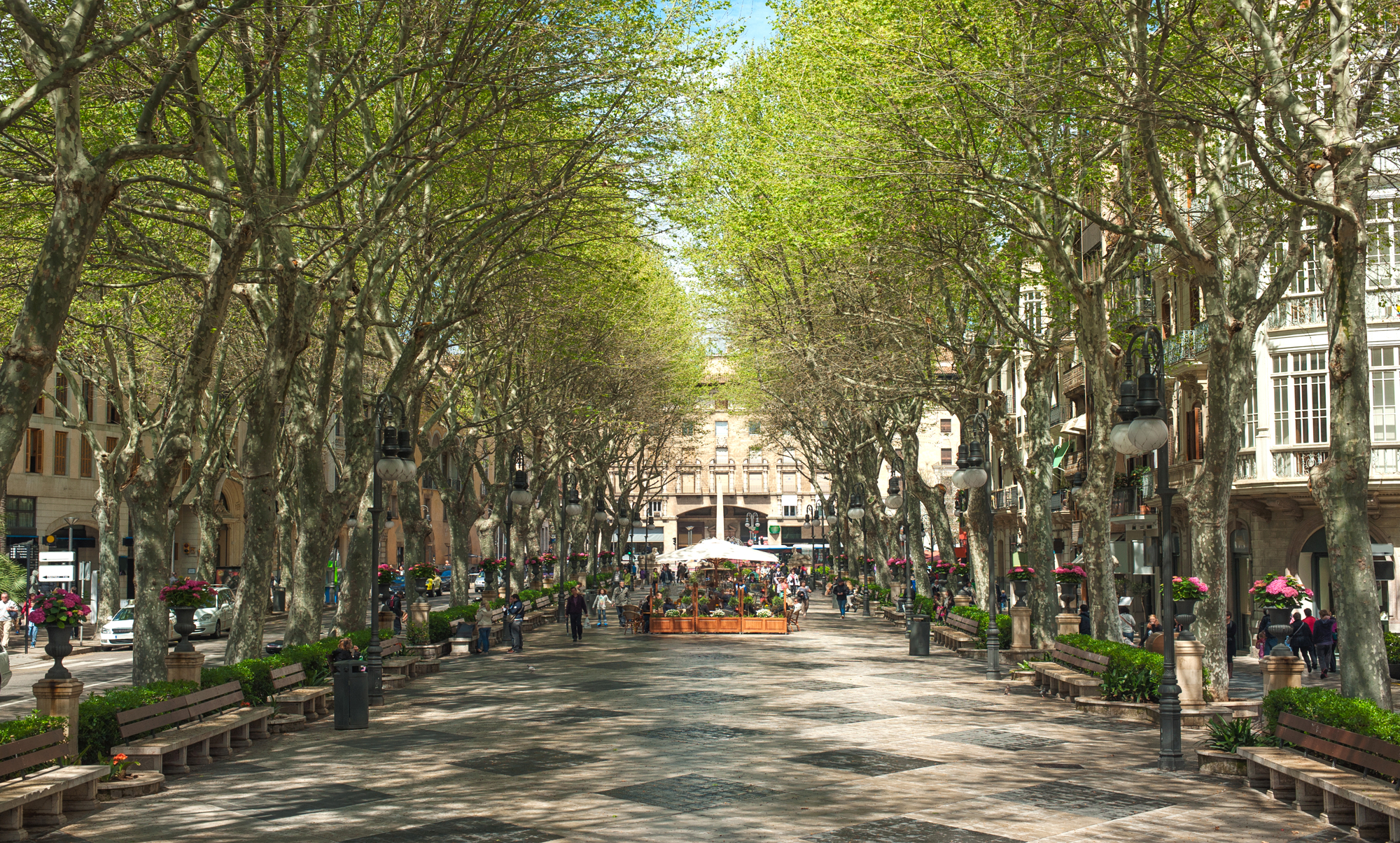 Paseo del Borne