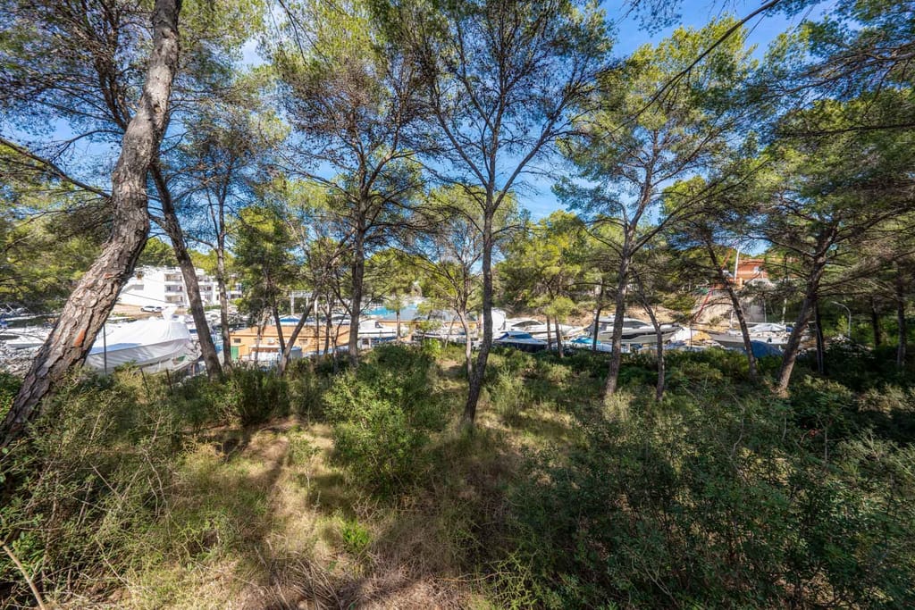 Baugrundstück am „Club Náutico“ mit genehmigtem Projekt in Santa Ponsa