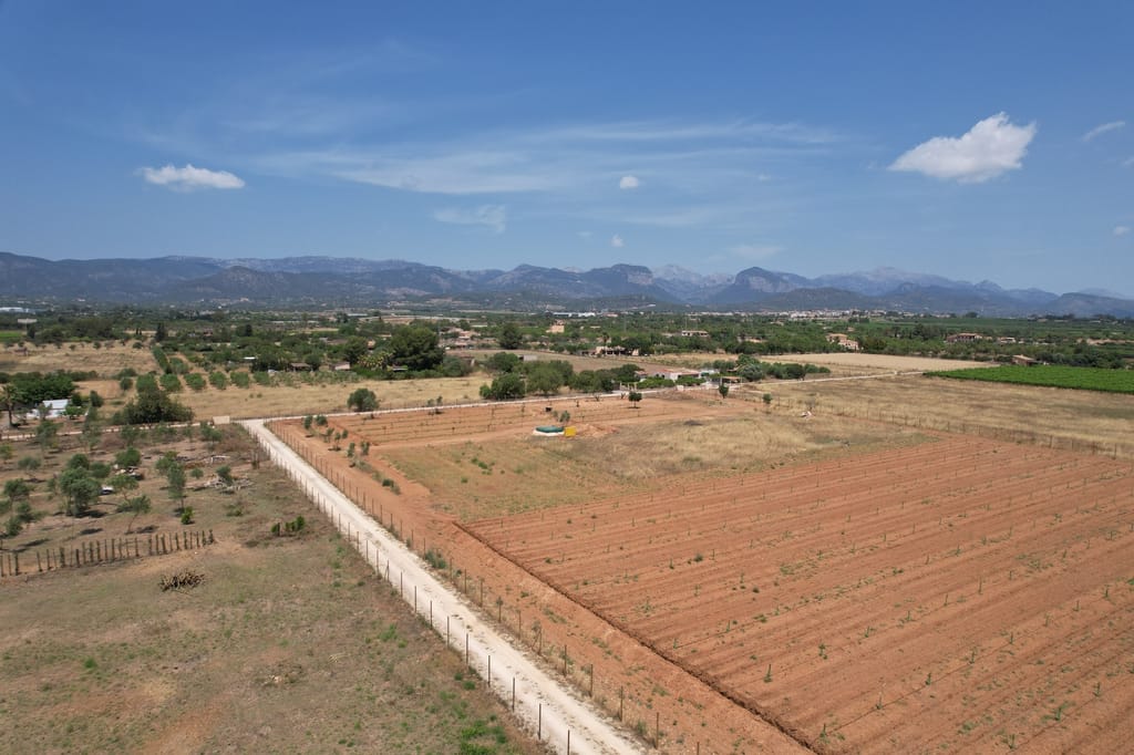 Baugrundstück in Santa Maria del Camí