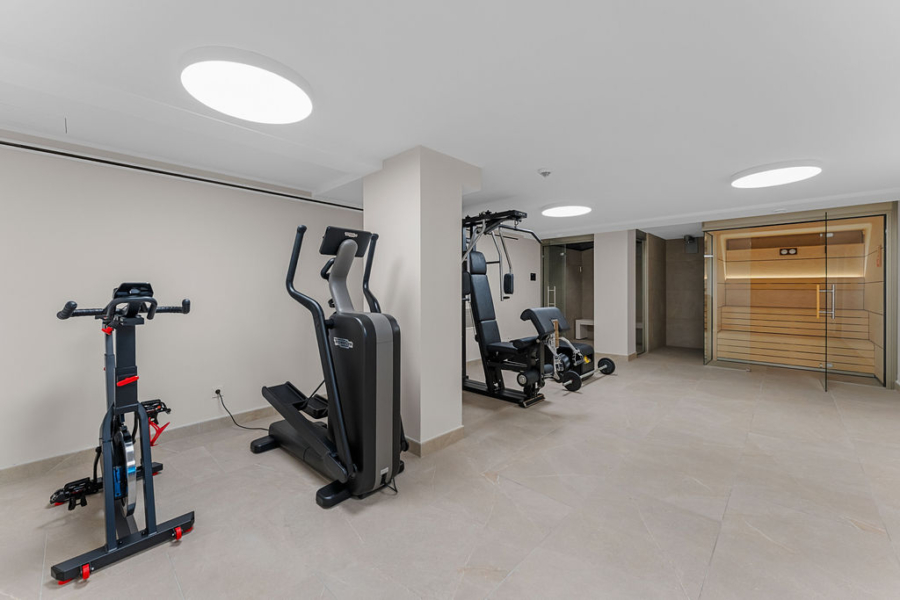 Spektakuläres Duplex-Penthouse mit Panoramablick über Palmas Hafen, Kathedrale, Meer und Berge - Fitnessbereich (15501)