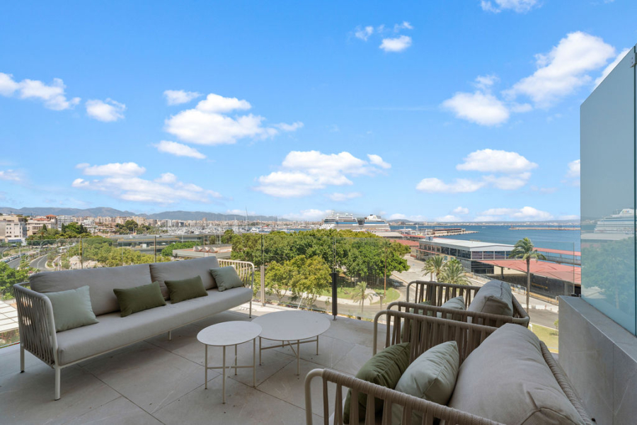 Spektakuläres Duplex-Penthouse mit Panoramablick über Palmas Hafen, Kathedrale, Meer und Berge - Terrasse (15477)