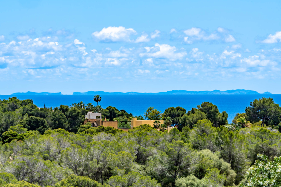 Premium Neubauvilla in Portals Nous - Blick bis zur Insel Cabrera (4336)