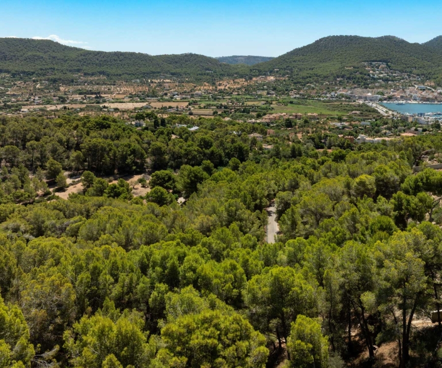 Baugrundstück mit Panoramablick in begehrter Wohnlage - Baugrundstück (5526)